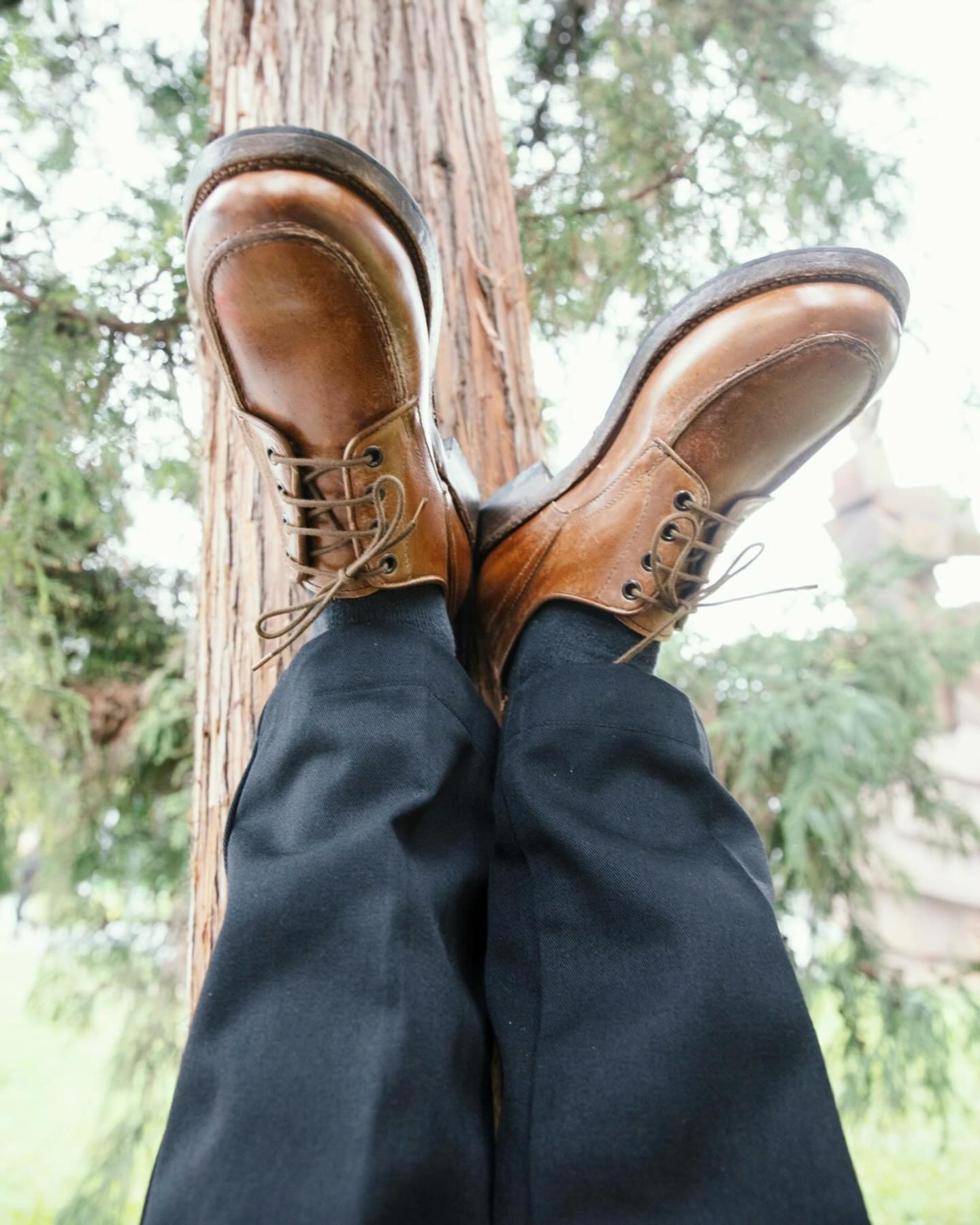 Shoto brown derby shoes styled outdoors near a tree